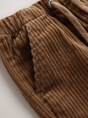 regular Pantaloni di Next in marrone