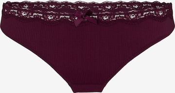 purpurinė Hunkemöller Siaurikės 'Lola': priekis