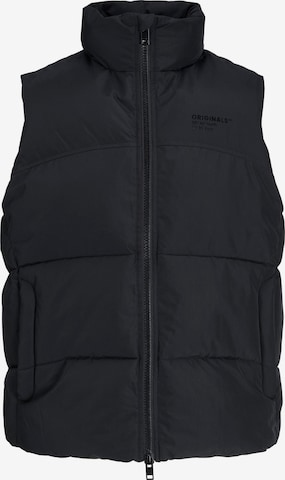 Gilet 'Viper' di JACK & JONES in nero: frontale