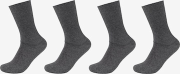 camano Socks in Grey: front