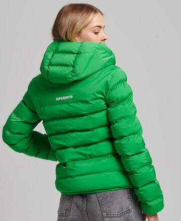 Superdry - Casaco de inverno em verde