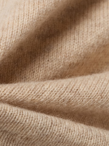 Andrew James Pullover in Beige