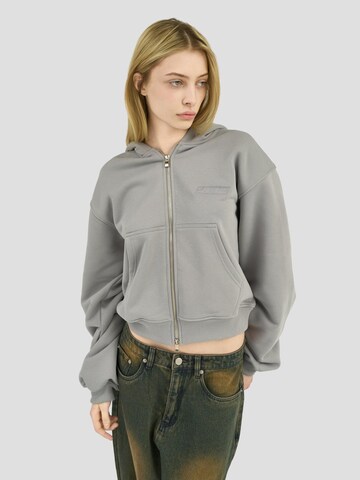 2005 Bluza rozpinana 'Ash Grey' w kolorze szary: przód