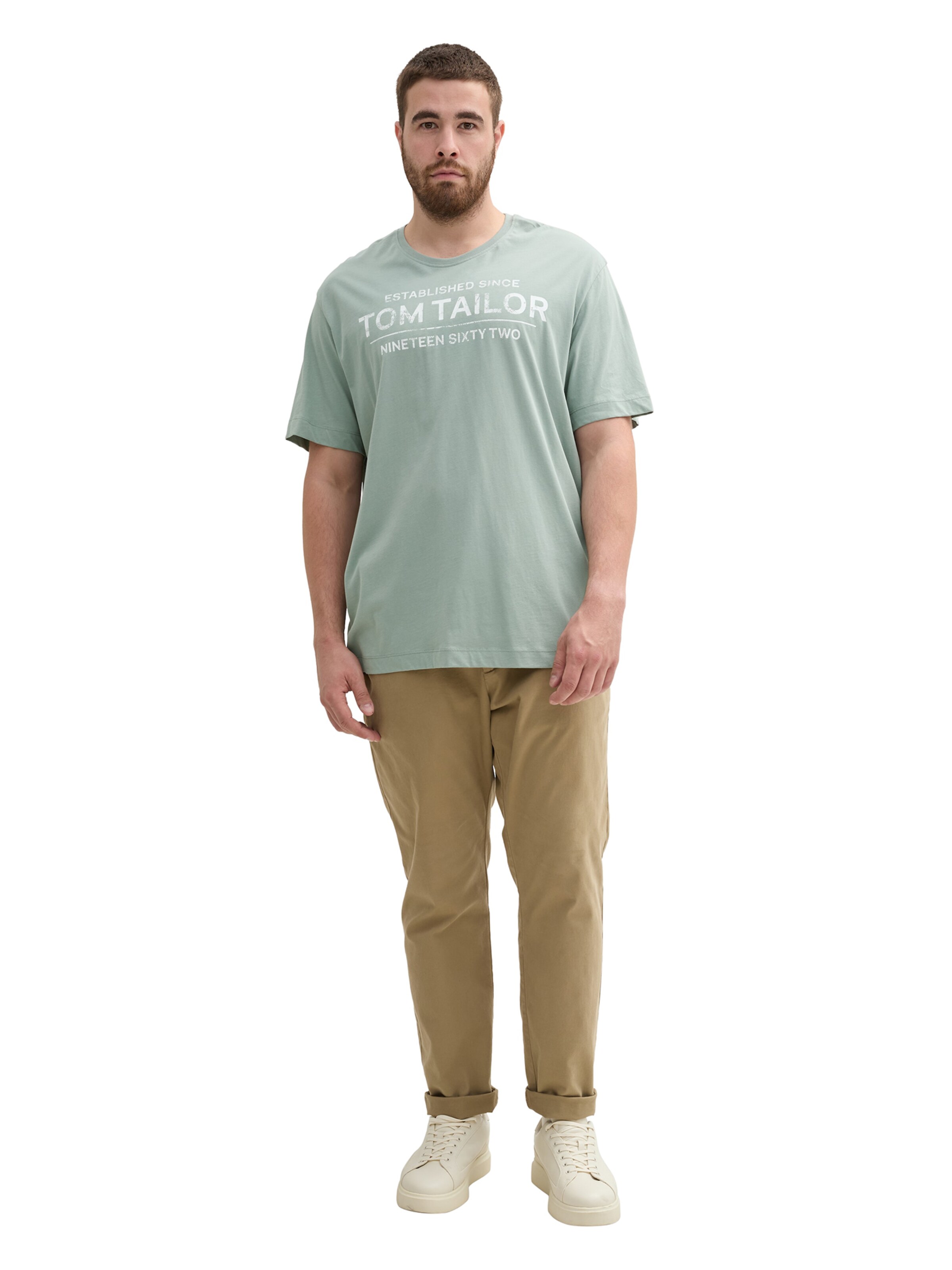 TOM TAILOR Men + Shirt in Green