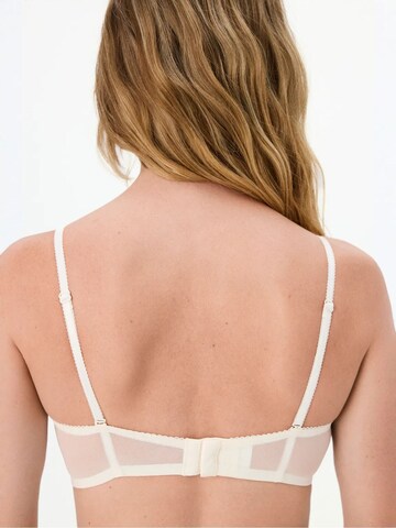 Bandeau Soutien-gorge 'BHs & Bralettes' Penti en marron