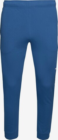 Champion Authentic Athletic Apparel Regular Workout Pants in Blue: front