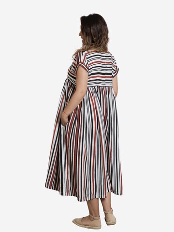 Nikka Place Kleid 'Lotus' in Mischfarben