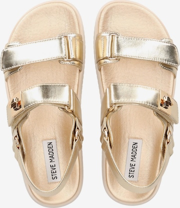 STEVE MADDEN Sandals 'Mona' in Gold ABOUT YOU