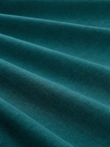 TOM TAILOR Men + Sweater in Green