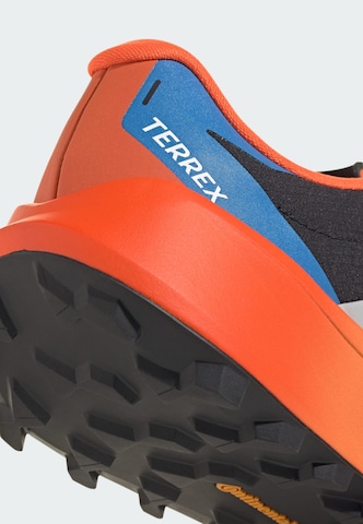 Chaussure basse 'Agravic 4' ADIDAS TERREX en noir