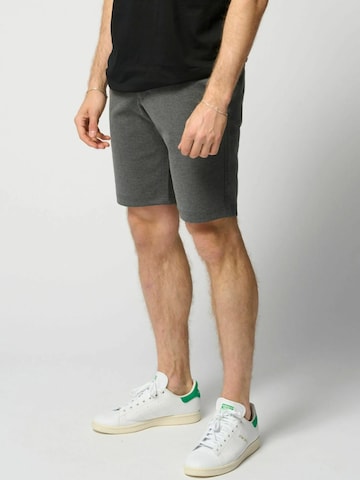TEESHOPPEN Regular Housut ' Performance Shorts ' värissä harmaa