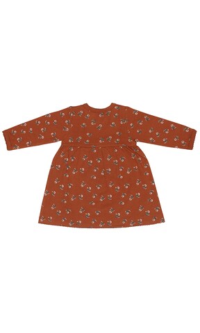 Bruuns Bazaar Kids Dress 'Luna Sofia' in Brown