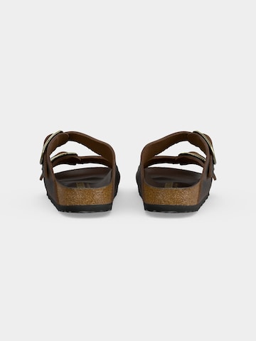 BIRKENSTOCK Чехли 'Arizona' в кафяво
