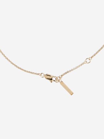 Calvin Klein Ketting in Goud