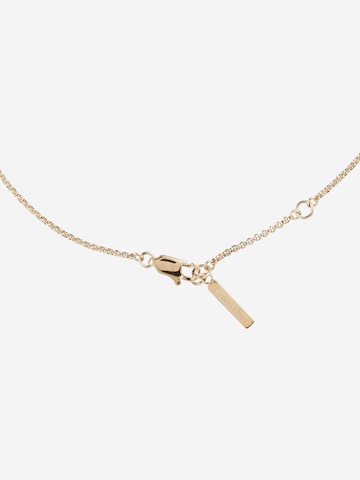 Calvin Klein Necklace in Gold