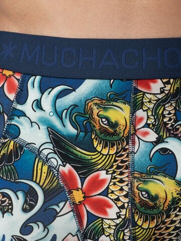 MUCHACHOMALO Boxer shorts 'Muchachomalo Cotton Boxershorts' in Blue