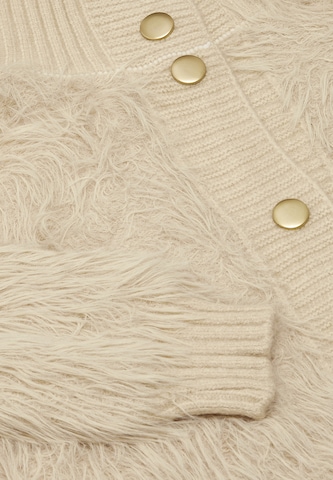 caspio Strickjacke in Beige