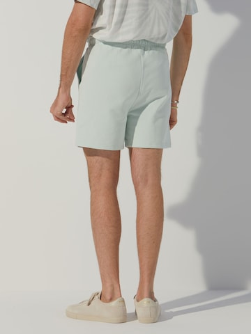 ABOUT YOU x Alvaro Soler Regular Pants 'Timur' in Green