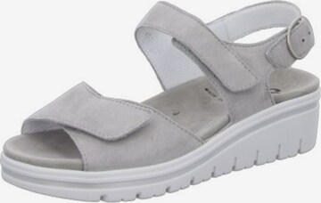 SEMLER Sandals in Grey: front