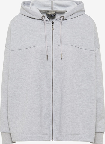 DreiMaster Vintage Zip-Up Hoodie in Grey: front