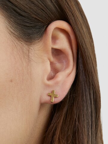 s.Oliver Earrings in Gold