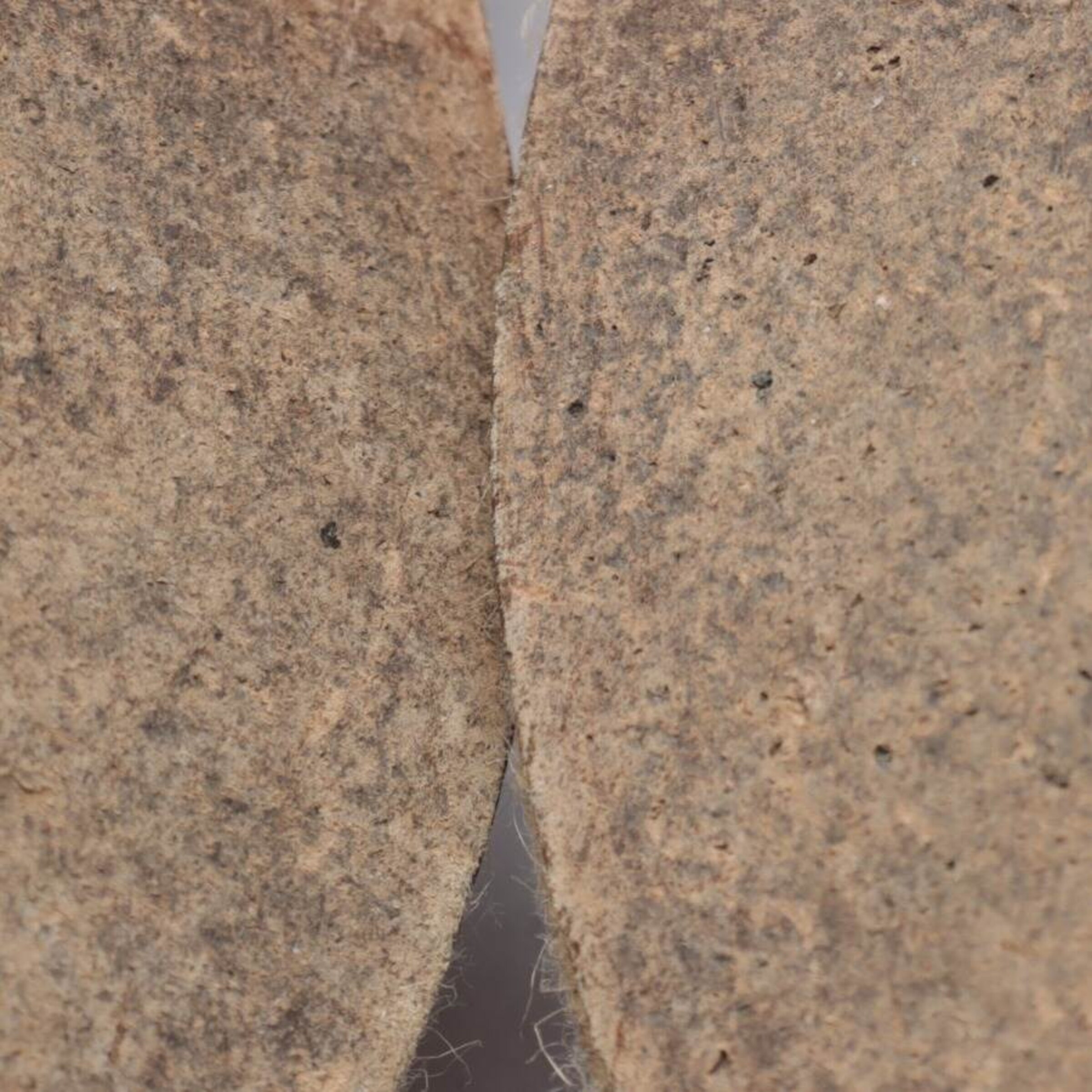 Alexander Wang Flats & Loafers in 38 in Black