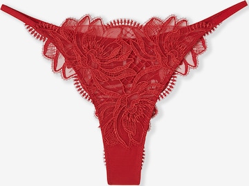 String 'Wild Night' di ETAM in rosso: frontale