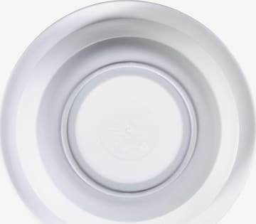 STERNTALER Bowl in White