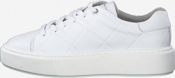 TAMARIS Sneakers in White