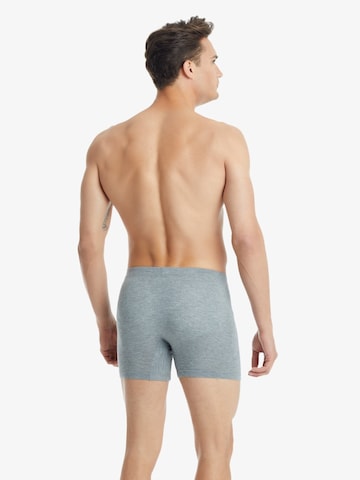 Blackspade Boxershorts in Grau