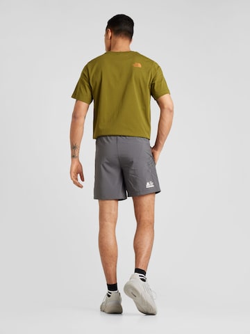 THE NORTH FACE Regular Sportshorts in Grau