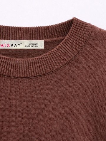Pullover 'Pullover' di MixRay in marrone