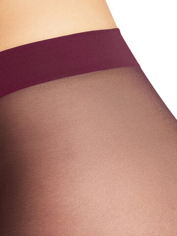 FALKE Tights 'Pure Matt' in Red