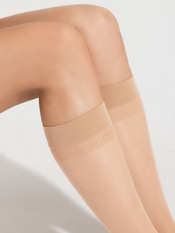 JOOP! Kniestrümpfe in Beige