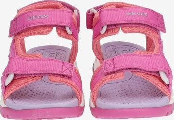 GEOX Sandalen in Roze