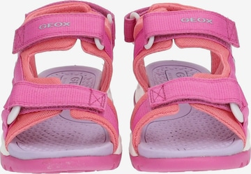 Sandalo di GEOX in rosa