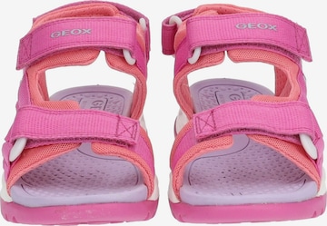 Sandales GEOX en rose