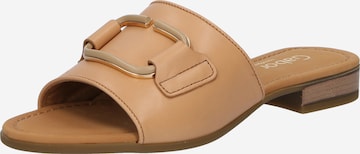 GABOR Mules in Brown: front