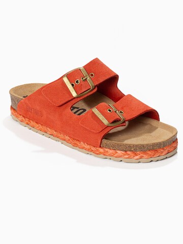 Bayton Mule 'Athena' in Red