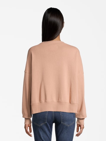 AÉROPOSTALE Sweatshirt i brun