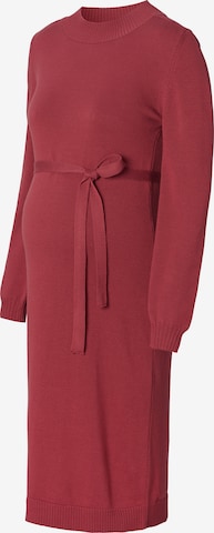 Esprit Maternity Knitted dress in Red: front