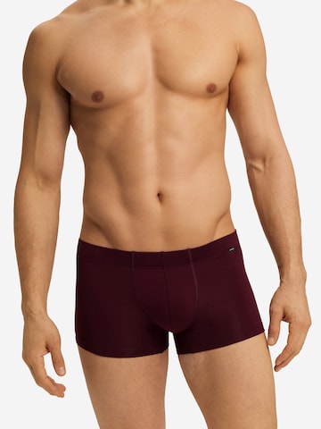 Hanro Boxer shorts 'Essentials' in Blue