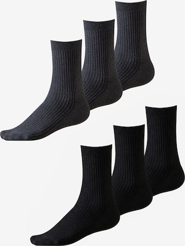 Millo Socks 'Cosy Steps Mix' in Grey: front