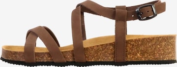 The Divine Factory Sandal in Brown: front