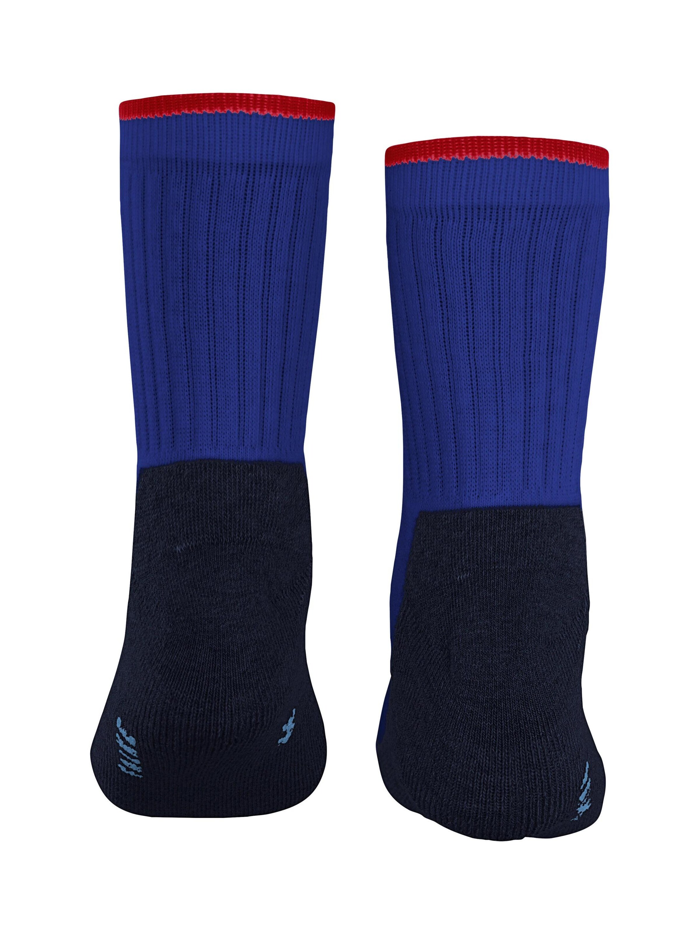 FALKE Socks in Blue