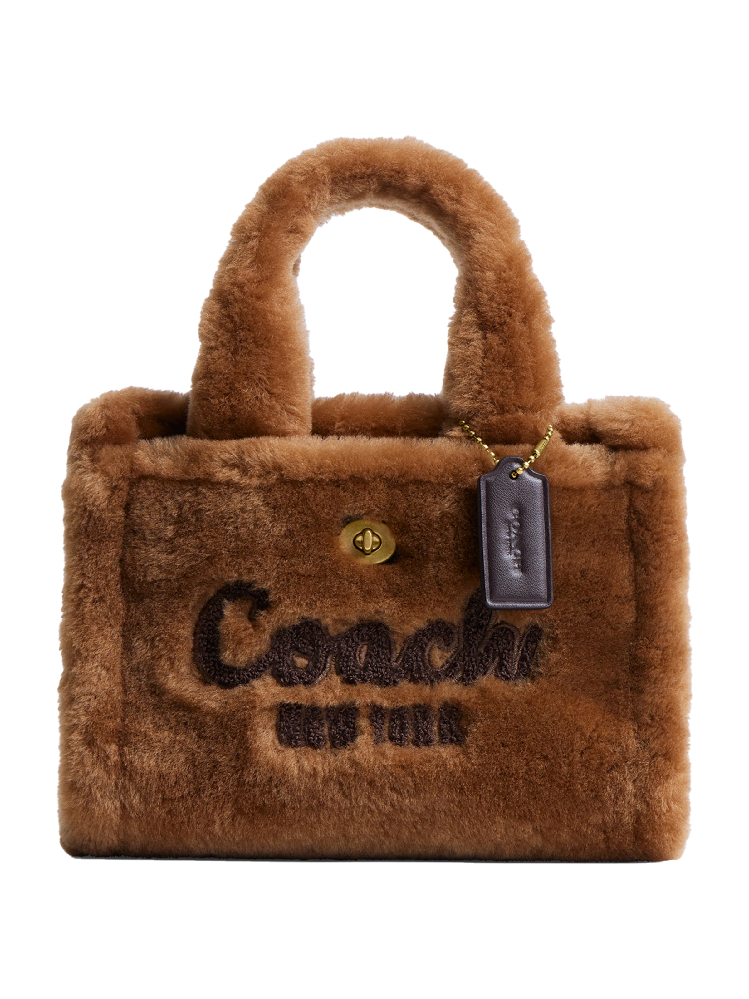 Borsa a mano di COACH in marrone: frontale