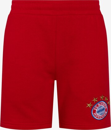 FC BAYERN MÜNCHEN Workout Pants in Red: front
