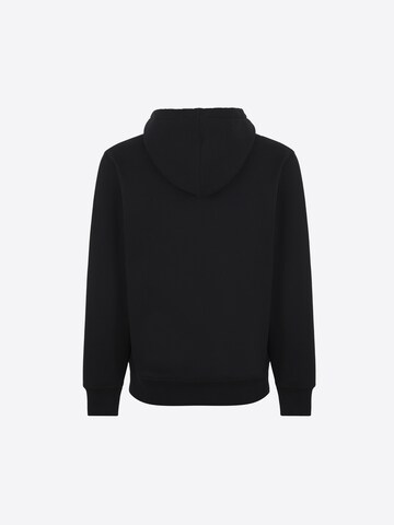 DICKIES Sweatshirt 'SUMMERDAL' in Schwarz