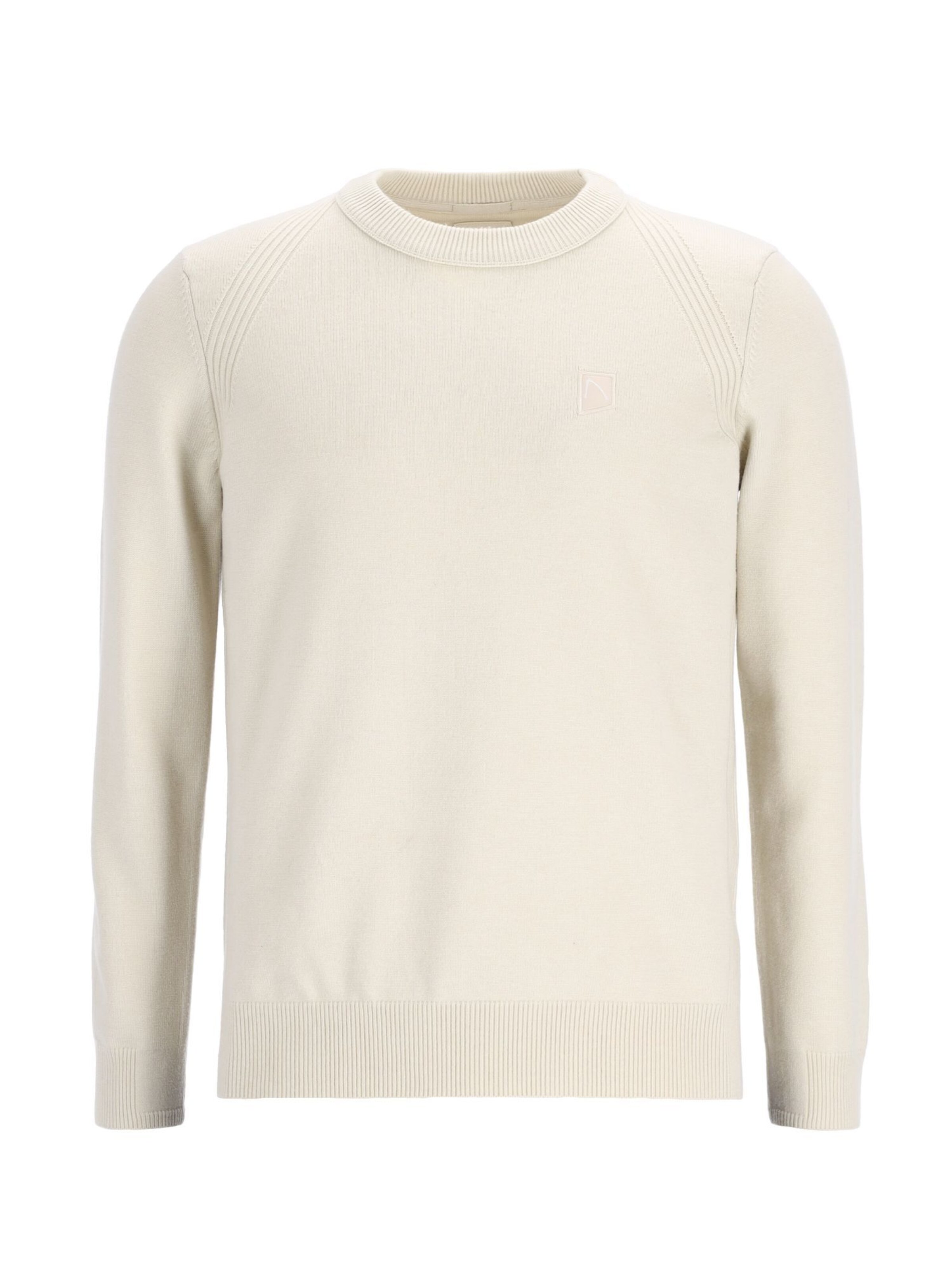 Pull-over 'Finn Wool' CHASIN' en beige : devant