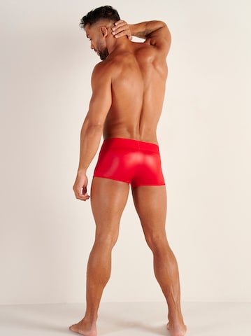 WOH Boxer shorts ' Night Universe ' in Red